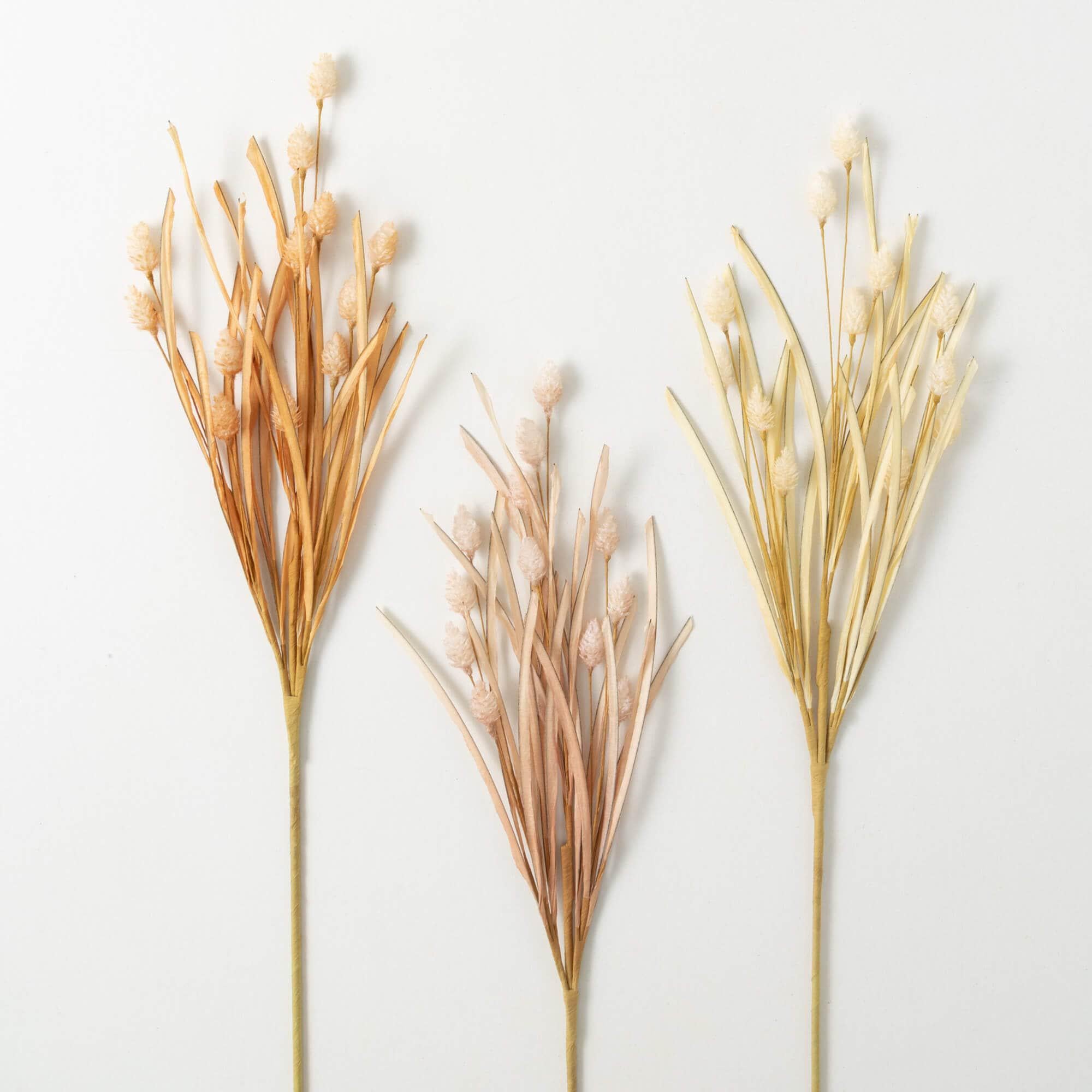 Wild Pod Grass Bush